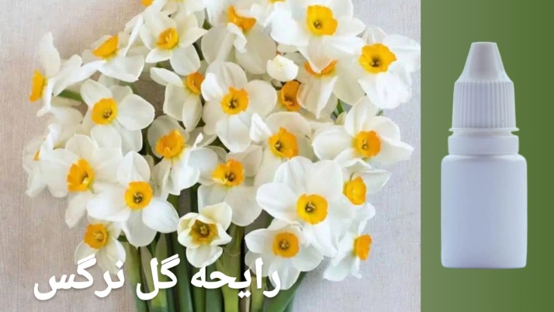 تصویر رایحه گل نرگس