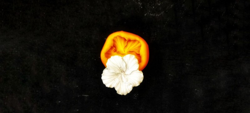 قالب سیلیکونی گل کد 5648 تصویر قالب سیلیکونی گل کد 5648