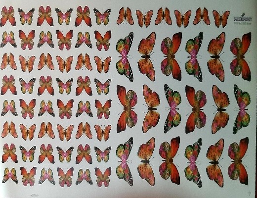 ترنسفر کد C016 تصویر ترنسفر کد C016