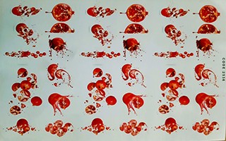 انار یلدایی کد 2536 - محصول انار یلدایی کد 2536 - محصول