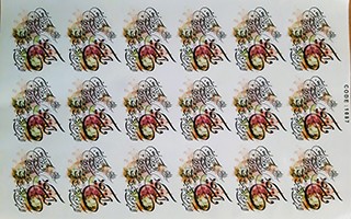 و آن یکاد کد 01087 - محصول