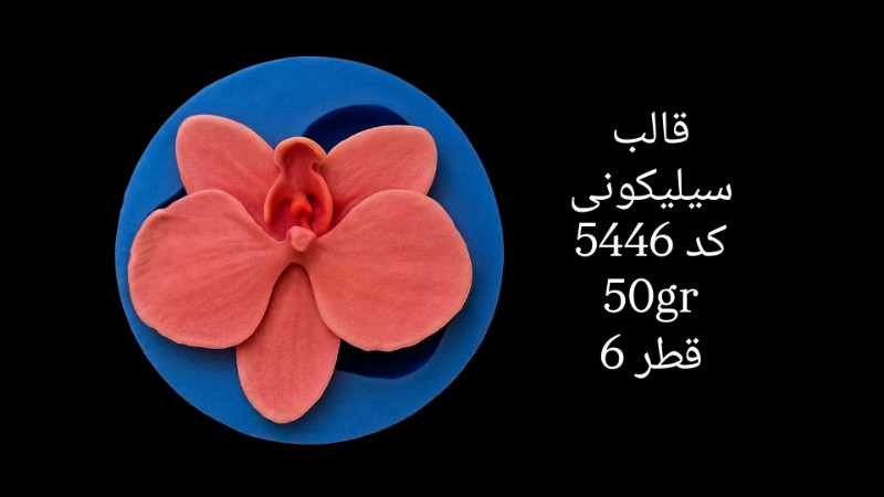 قالب سیلیکونی کد 5446 - سیلیکونی قالب سیلیکونی کد 5446 - سیلیکونی