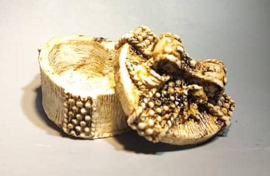 قالب سیلیکونی جای جواهری کد 5404 - شفاف قالب سیلیکونی جای جواهری کد 5404 - شفاف