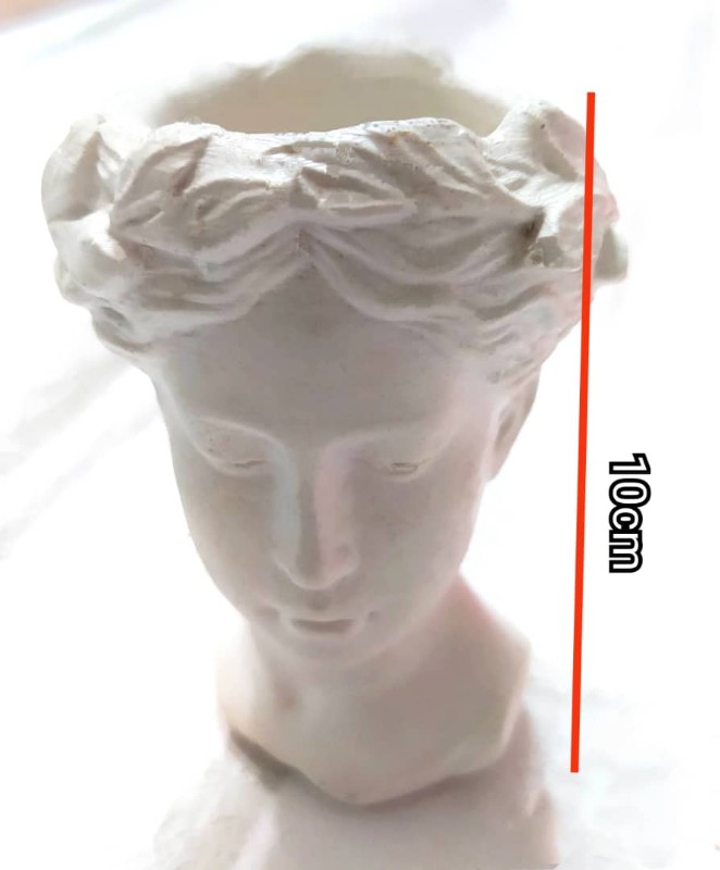 قالب سیلیکونی گلدان چهره کد 5391 - سیلیکونی قالب سیلیکونی گلدان چهره کد 5391 - سیلیکونی