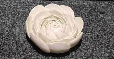 قالب سیلیکونی جاعودی گل پیونی کد 5559 - سیلیکونی قالب سیلیکونی جاعودی گل پیونی کد 5559 - سیلیکونی