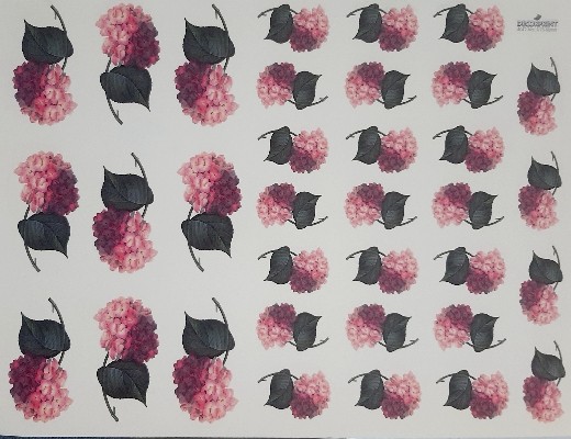 ترنسفرگل کد ۴۰۴۲ - محصول ترنسفرگل کد ۴۰۴۲ - محصول