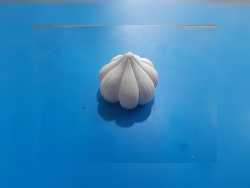 سیر هفت سین کد ۵۶۹۳ - سیلیکونی سیر هفت سین کد ۵۶۹۳ - سیلیکونی