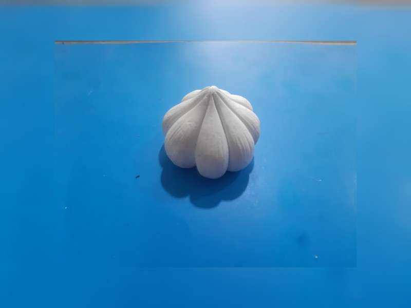 سیر هفت سین کد ۵۶۹۳ - سیلیکونی - تصویر 1 سیر هفت سین کد ۵۶۹۳ - سیلیکونی - تصویر 1