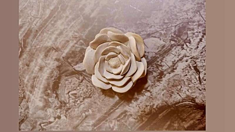 قالب سیلیکونی گل نسترن کد 5582 - سیلیکونی - تصویر 1 قالب سیلیکونی گل نسترن کد 5582 - سیلیکونی - تصویر 1