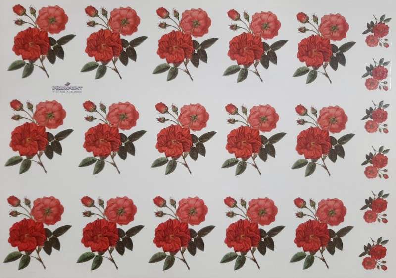 ترنسفرگل کد ۴۱۰7 - محصول - تصویر 1 ترنسفرگل کد ۴۱۰7 - محصول - تصویر 1