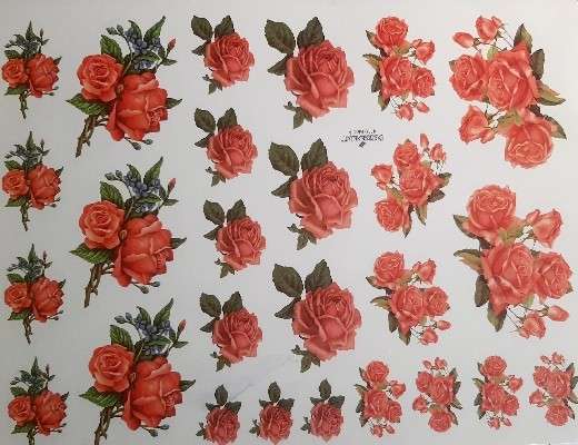 گل کد ۴۱۱۰ - محصول - تصویر 1 گل کد ۴۱۱۰ - محصول - تصویر 1