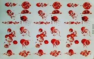 انار یلدایی کد 2536 - محصول - تصویر 1 انار یلدایی کد 2536 - محصول - تصویر 1