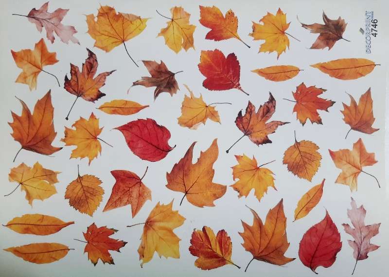 ترنسفرگل کد ۴۷۴۶ - محصول - تصویر 1 ترنسفرگل کد ۴۷۴۶ - محصول - تصویر 1