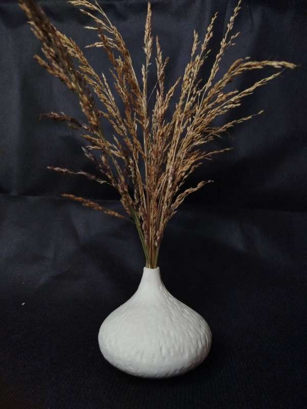 قالب سیلیکونی گلجا کد 5401 - سیلیکونی - تصویر 1 قالب سیلیکونی گلجا کد 5401 - سیلیکونی - تصویر 1