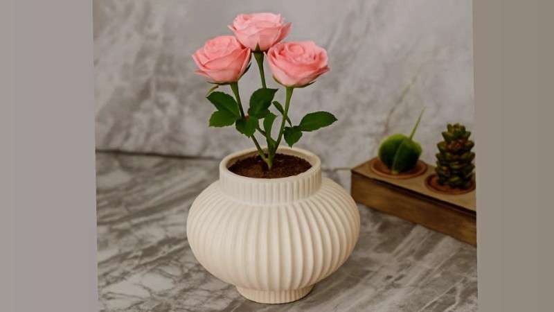 قالب سیلیکونی گلدان بالن کد 5566 - سیلیکونی - تصویر 1 قالب سیلیکونی گلدان بالن کد 5566 - سیلیکونی - تصویر 1