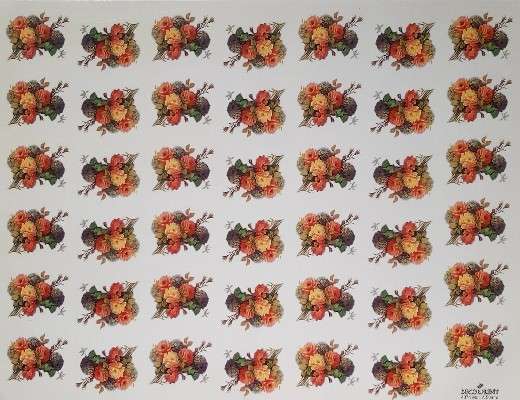 ترنسفرگل کد ۴۰۷۴ - محصول - تصویر 1 ترنسفرگل کد ۴۰۷۴ - محصول - تصویر 1