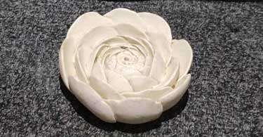 قالب سیلیکونی جاعودی گل پیونی کد 5559 - سیلیکونی - تصویر 1 قالب سیلیکونی جاعودی گل پیونی کد 5559 - سیلیکونی - تصویر 1